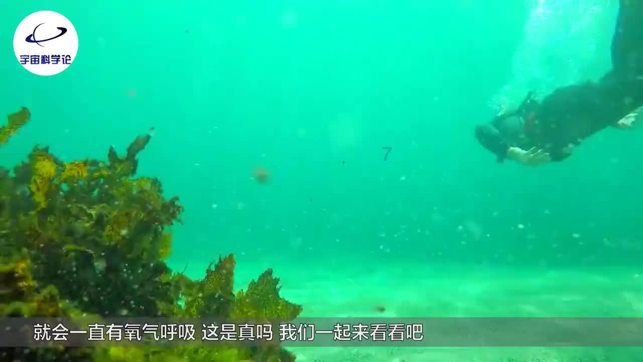 逗小猴开心系列167